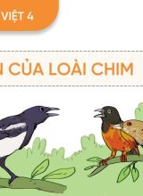 Chuyện của loài chim - Tiếng Việt 4  -  Hoc10
